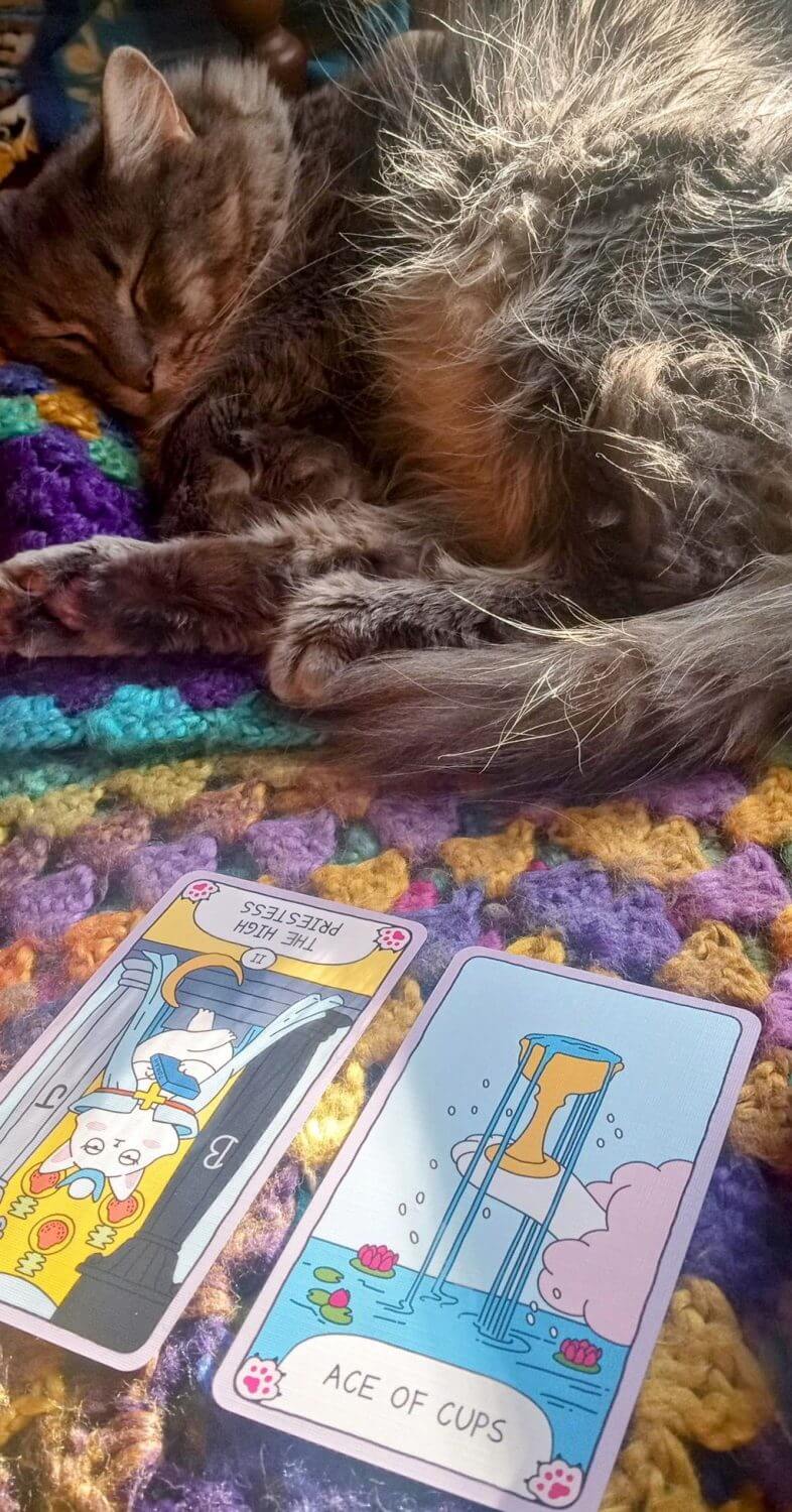 High Priestess Rx and Ace of Cups: Feeling it First High Priestess Rx and Ace of Cups: Feeling it First Magick