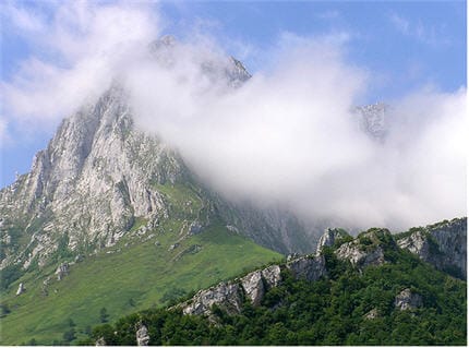 Mini-Meditation: Fly Away from Conflict DIY Spirituality