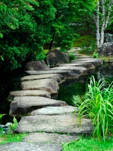 stepping_stone_path-91224015_std