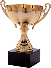 award-trophies-trophy2