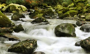 mystical--river mystical--river
