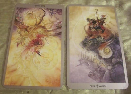 daily-tarot-forecast daily-tarot-forecast