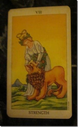 strength-tarot strength-tarot