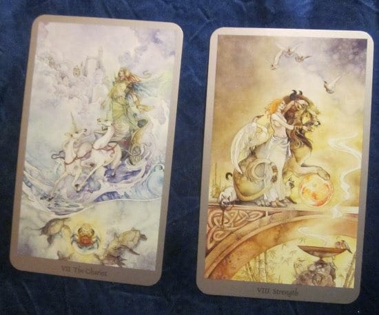 IMG_1809 (550x458) IMG_1809 (550x458)