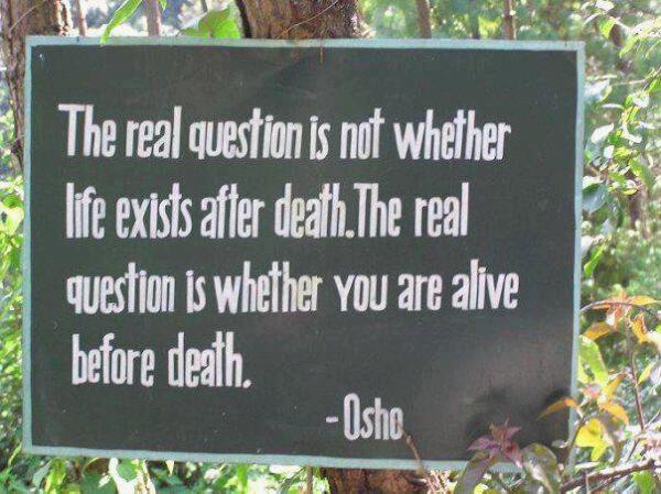 alive-before-death