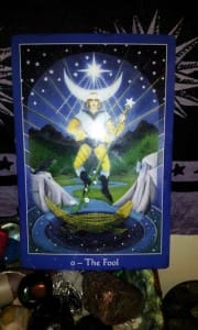 Speaking of Animal Messengers: Butterflies! Animal Totems