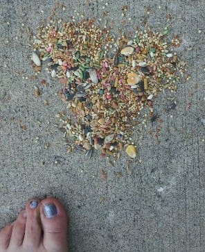 Bird Seed Heart Magic