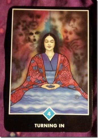 20120828_133616 (443x620)