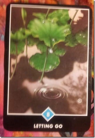 20120910_175638 (429x622)