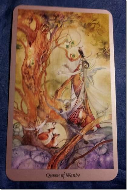 09/28/12: CONFIDENCE! | Queen of Wands 20120920_160442 (415x620)