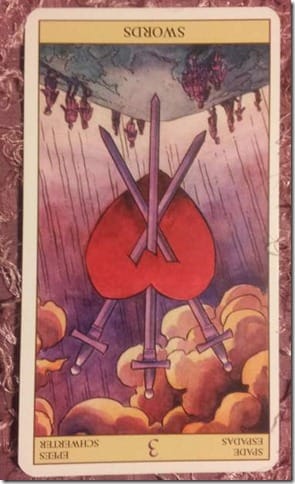 20121126_115325 20121126_115325