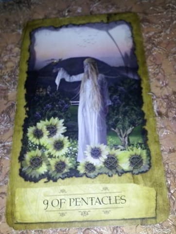 9-pentacles-meaning