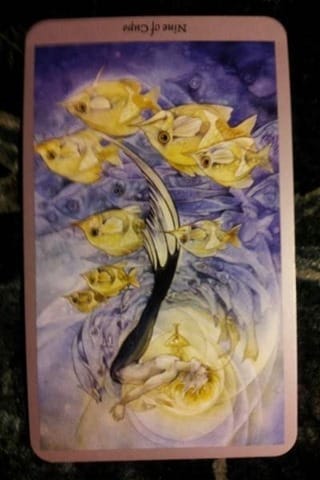 nine-of-cups-reversed