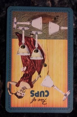 rev-5-cups rev-5-cups