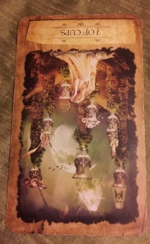 Reversed Seven of Cups Meaning Reversed Seven of Cups Meaning