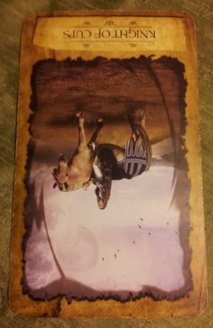 knight-of-cups-reversed-tarot knight-of-cups-reversed-tarot