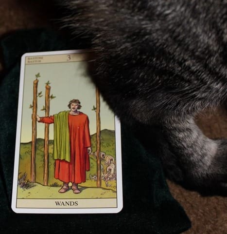12/29/13: Investing in the Future / 3 of Wands 3 of Wands Tarot of New Vision